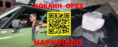 гашик Новозыбков