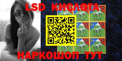 крисы Новодвинск