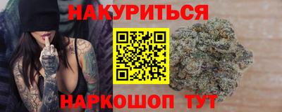 крисы Новодвинск