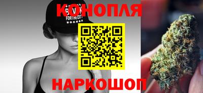 крисы Новодвинск