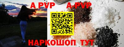 гашик Новозыбков