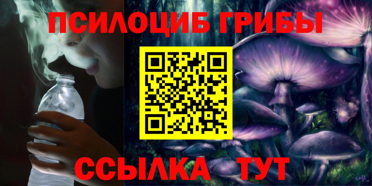 Куйбышев  Псилоцибиновые грибы Psilocybe  Псилоцибиновые грибы Cubensis  Вход с VPN 
